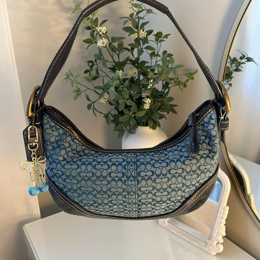 Blue Bag